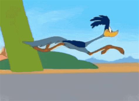 Road Runner Gif Discover more animated, cartoon, Characters, Looney ...