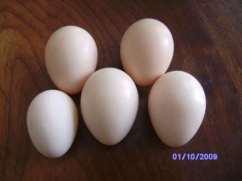 Egg Color Chart - Find Out What Egg Color Your Breed Lays - BackYard ...