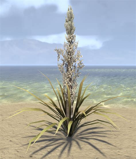 ESO Fashion | Plant, Tall Flowering Yucca (Elder Scrolls Online)