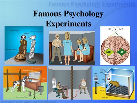 PPT - Famous Psychology Experiments PowerPoint Presentation, free download - ID:3128941