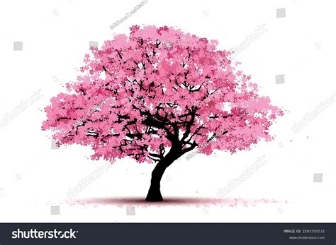 Cherry Blossom Tree Isolated On White Stock Vector (Royalty Free) 2283350531 | Shutterstock