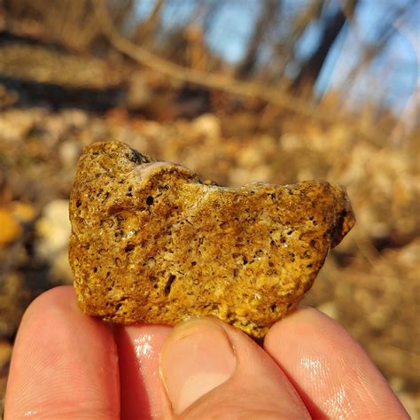 Fossiliferous Lake Superior Jasper-agate W Crinoids & Horn - Etsy