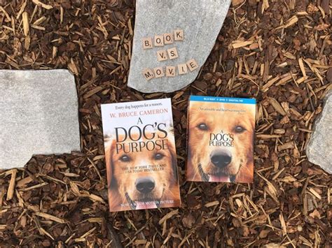 Book vs. Movie: A Dog's Purpose #ADogsPurposeMovie - Books: A true story