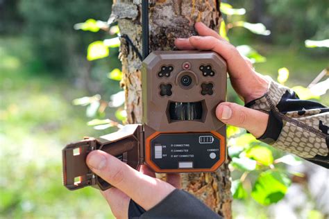 8 Best Cellular Trail Cameras 2023 for Deer & Big Game Hunters