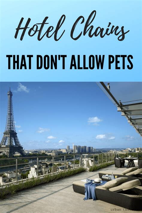 7 Hotel Chains That DON'T Allow Pets (2021) (2023)