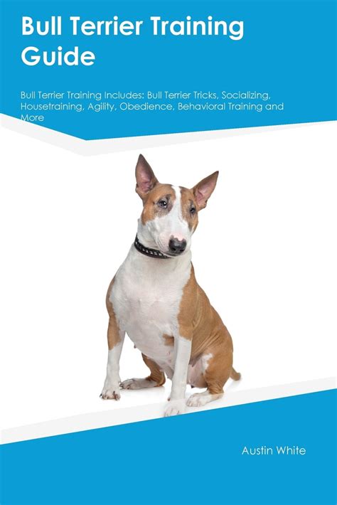 Bull Terrier Training Guide Bull Terrier Training Includes : Bull Terrier Tricks, Socializing ...