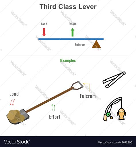 Lever Schematic Osrs In A First-class Lever, The Fulcrum Is