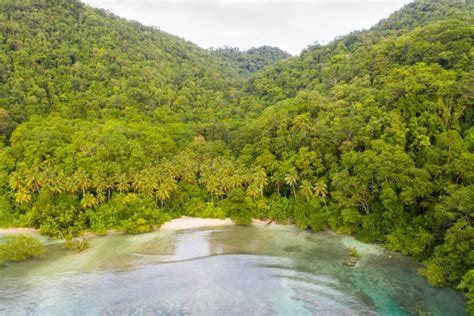 60+ Papua New Guinea Island Aerial View Tropical Climate Stock Photos ...