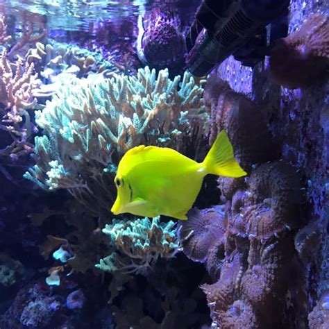 Barcelona Aquarium Tickets - Barcelona | Tiqets.com