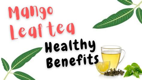 Mango Leaf Tea Benefits & Side Effects // Weight Loss Tea - YouTube