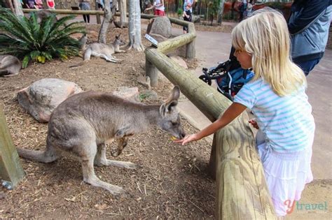 Why Dreamworld is the BEST Theme Park on the Gold Coast