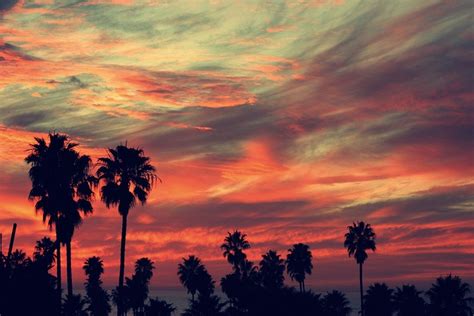 Venice Beach Sunset | Cali life | Pinterest