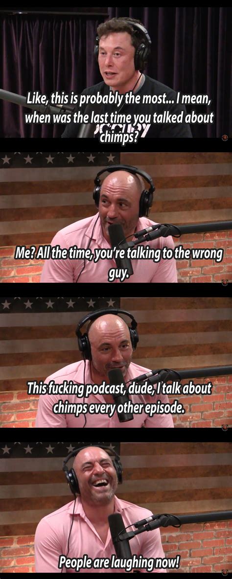 Joe Rogan and Elon Musk talk chimps : r/JoeRogan