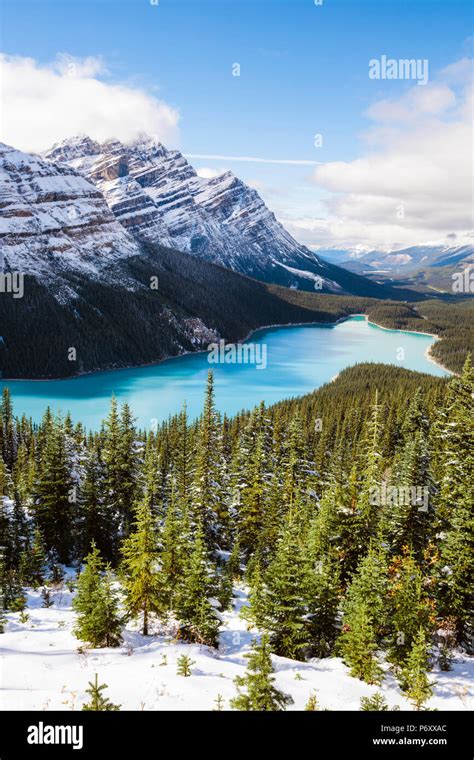 Peyto lake in autumn, Banff National Park, Alberta, Canada Stock Photo ...