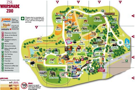 Whipsnade Zoo | Zoo, Tours, Trip