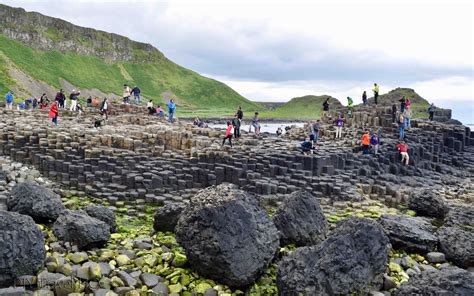 Visit the Giant's Causeway with Paddywagon Tours! - DIY Travel HQ