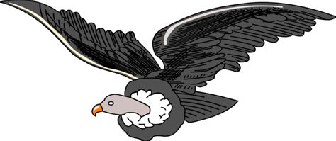 Collection of Condor clipart | Free download best Condor clipart on ClipArtMag.com