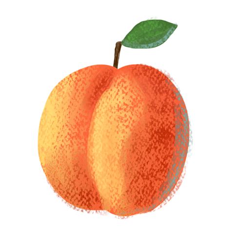 Abricot Orange Jaune · Image gratuite sur Pixabay