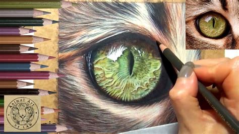 This is a timelapse of a series of full in depth videos of me creating ...