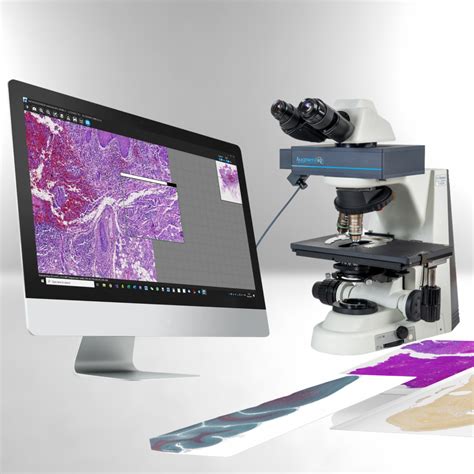 Digital Pathology Software Applications - Augmentiqs