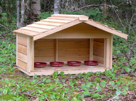 OUTDOOR CEDAR CAT DOG RABBIT FERAL FEEDING STATION FOOD SHELTER HOUSE ...