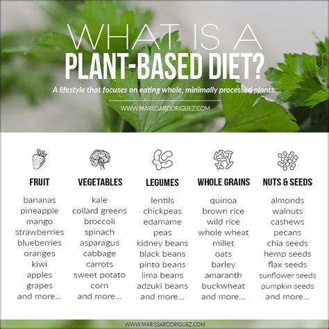 WHAT IS A PLANT-BASED DIET?