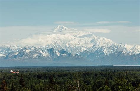 Ultimate Denali Vacation: 9 Days of Alaska Wilderness