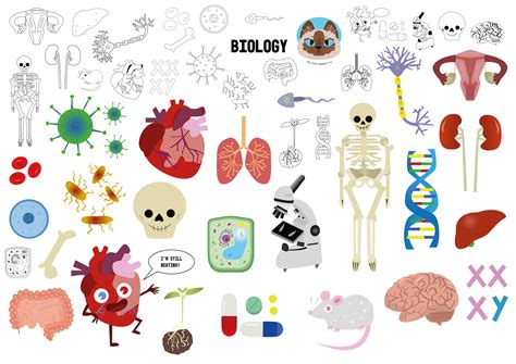 Biology- Science Clip Art | Education Illustrations ~ Creative Market