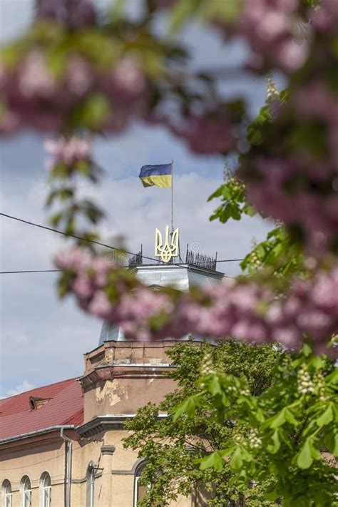 May 25, 2021 Berehove City, Transcarpathia, Ukraine. Ukrainian Flag and Coat of Arms on a House ...