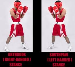 Boxing Stance - Warrior Punch