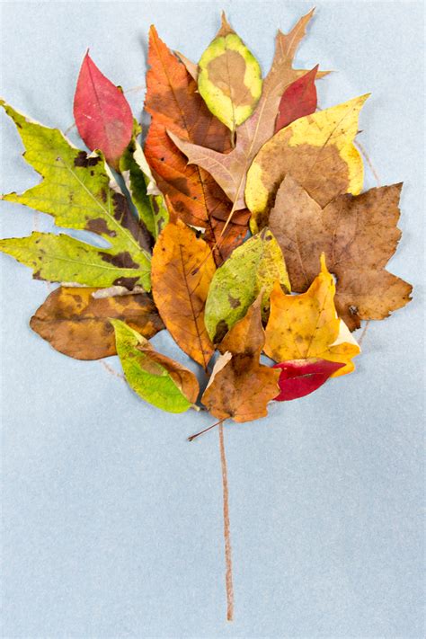 Easy Preschool Tree Craft Using Fall Leaves • Kids Activities Blog