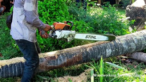 Chainsaw Tree Cutting Sound Effect 2022! Woodworking Cutting Skill With Small Cutting Machines ...