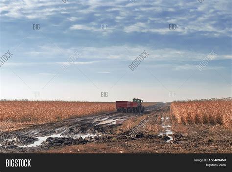 Tractor Farming Corn Image & Photo (Free Trial) | Bigstock