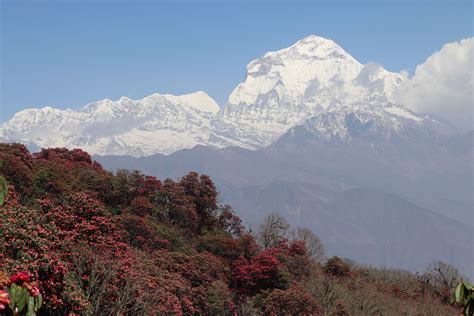 Dhaulagiri Circuit Trek | Cost |Itinerary | Map