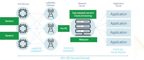 LoRaWAN and 5G | Digital Nasional Berhad