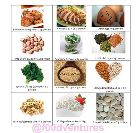 Handy dandy little reference for protein rich foods | foodventures