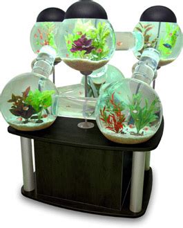 Silverfish Aquarium – Spoil Your Fish - Gadizmo.com