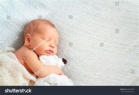 17,812 Baby sleep bear Stock Photos, Images & Photography | Shutterstock