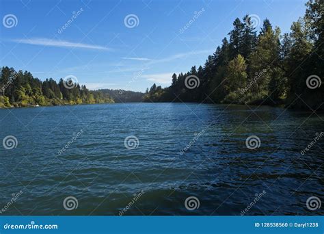 River with Fall Foliage Trees in the Background Stock Photo - Image of ...