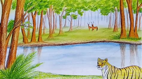 How to draw scenery of forest ( sundarban ) step by step - YouTube