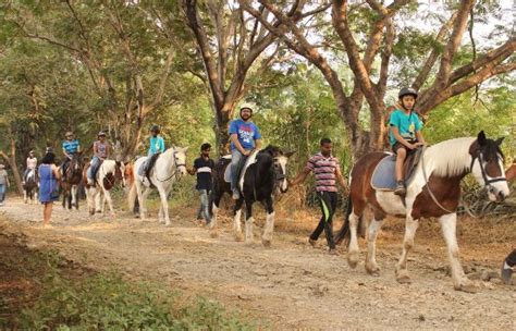 Japalouppe Equestrian Centre (Talegaon) - 2020 All You Need to Know ...