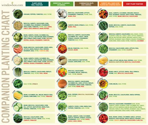 Flower & Vegetable Temperature Guide | Farmers Friend