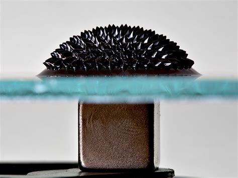 File:Ferrofluid Magnet under glass edit.jpg - Wikipedia