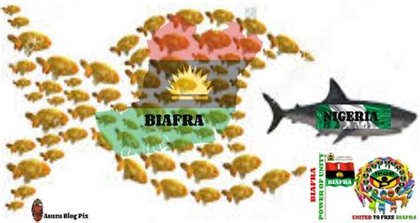 Biafra Needs Unity More than Independence. | asuzublog