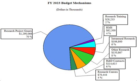 Budget 2023 - LyleAudrina