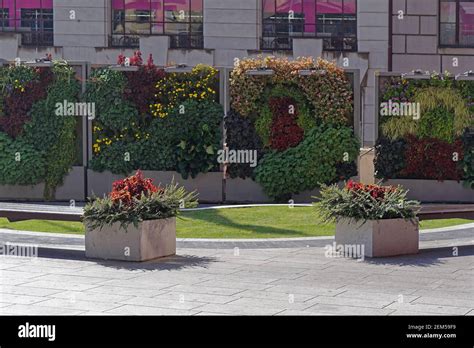 Plants wall vertical garden at urban park in city Stock Photo - Alamy