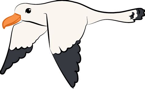 Flying seagull clipart. Free download transparent .PNG | Creazilla