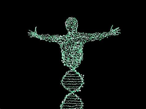 New Technique Reveals Genes Underlying Human Evolution - Neuroscience News