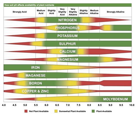 Soil Ph Chart Pdf