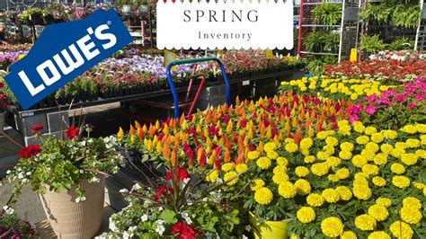 Lowes Garden Center May Plant Inventory, Spring 2022 - YouTube